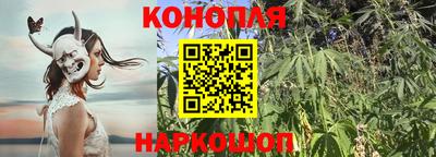 крисы Свободный