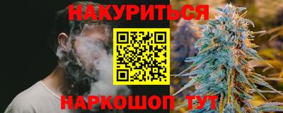 крисы Свободный